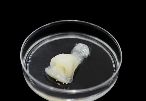 3D打印已渗透进我们生活的方方面面