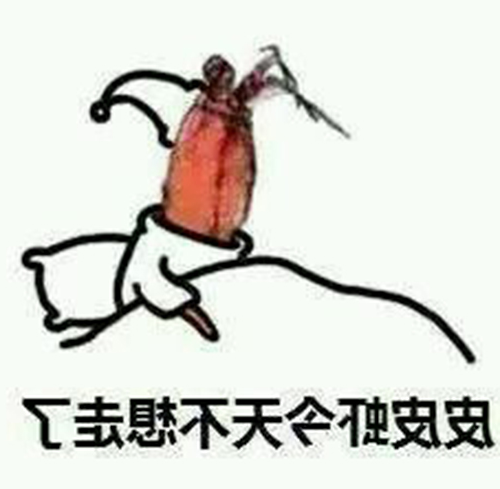 您有一只超静音的云智能皮皮虾在京东众筹