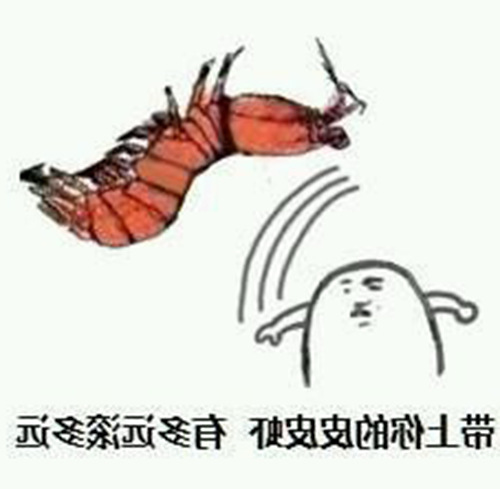 您有一只超静音的云智能皮皮虾在京东众筹