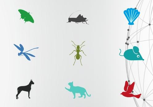 师从动物学习“超能力” 3D打印成仿生科技新星