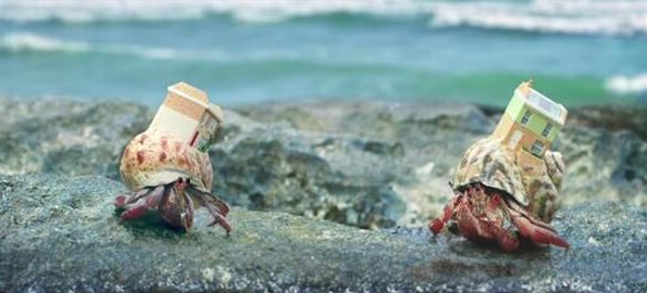 活得不如蟹！寄居蟹都有全彩的英式3D打印别墅了