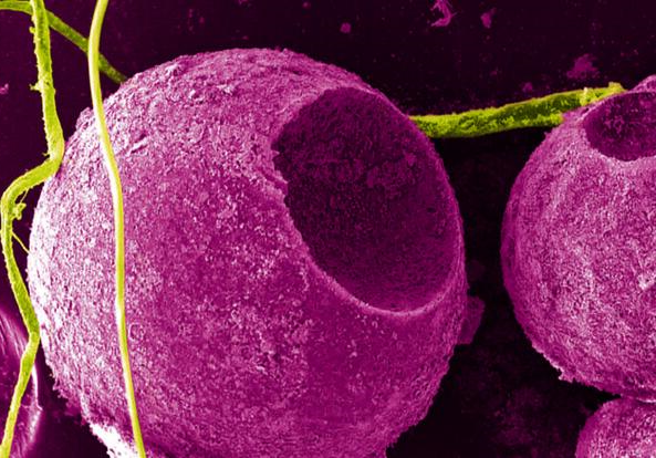 嵌入量子点 给3D打印件一个独一无二的隐形水印