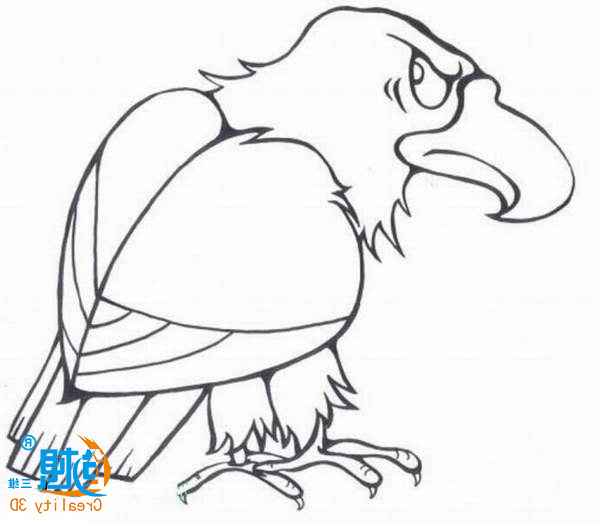 创想课堂|教你用word制作一个3D打鹰鸡 创想课堂|教你用word制作一个3D打鹰鸡