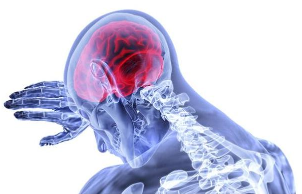 科学家3D生物打印大脑模型用于研究神经退行性疾病