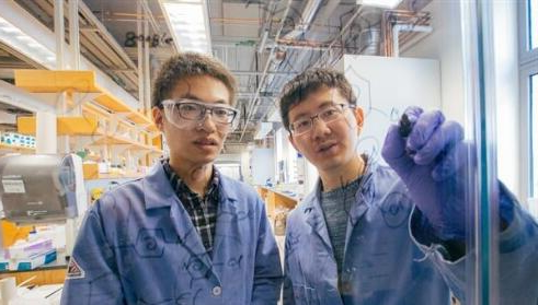 可对刺激作出反应的“智能”3D打印材料