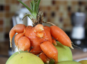 南非生产首台食品打印机，可减少食物浪费！