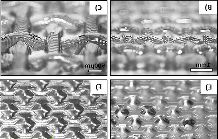 新西兰研究团队研发用于合成组织的DLP 3D打印生物树脂