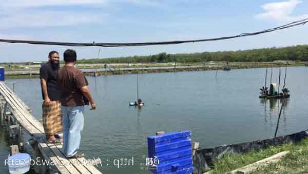 Sensocore采用3D打印技术改善养鱼场的水质