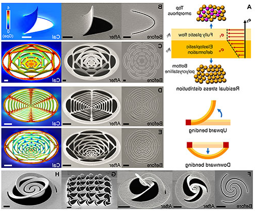 中国剪纸艺术启发纳米级3D打印研究