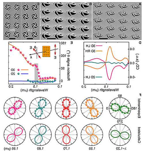 中国剪纸艺术启发纳米级3D打印研究