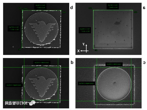 冰图案和相应金属结构的注释SEM图像