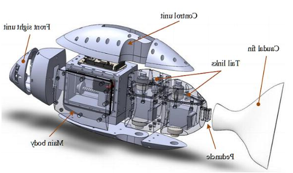 创想三维
：研究人员利用3D打印机和防技术开发机器鱼