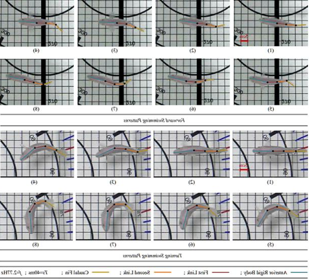 创想三维
：研究人员利用3D打印机和防技术开发机器鱼