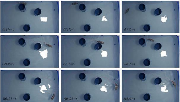 创想三维
：研究人员利用3D打印机和防技术开发机器鱼