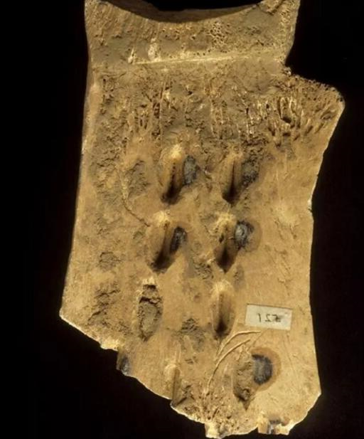 全球第一块3D打印甲骨文在英国剑桥大学展出