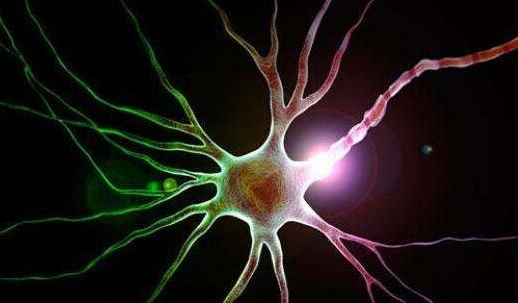 3D打印“助攻”骶神经调控术