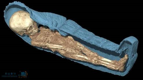 创想三维
：3D打印机在博物馆中的应用