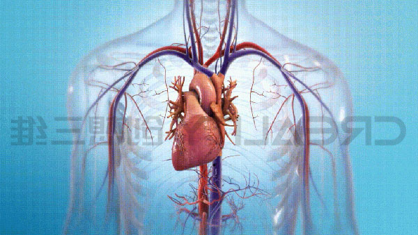 3D生物打印心脏 3D生物打印心脏