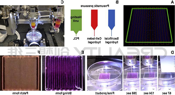 维克森林再生医学研究所 维克森林再生医学研究所