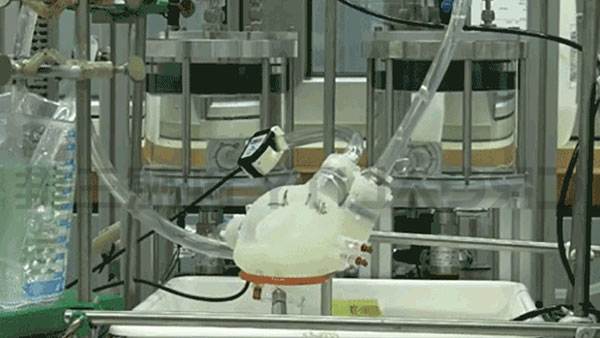 人造硅胶心脏 人造硅胶心脏