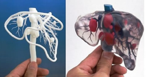 3D打印仿生胰腺