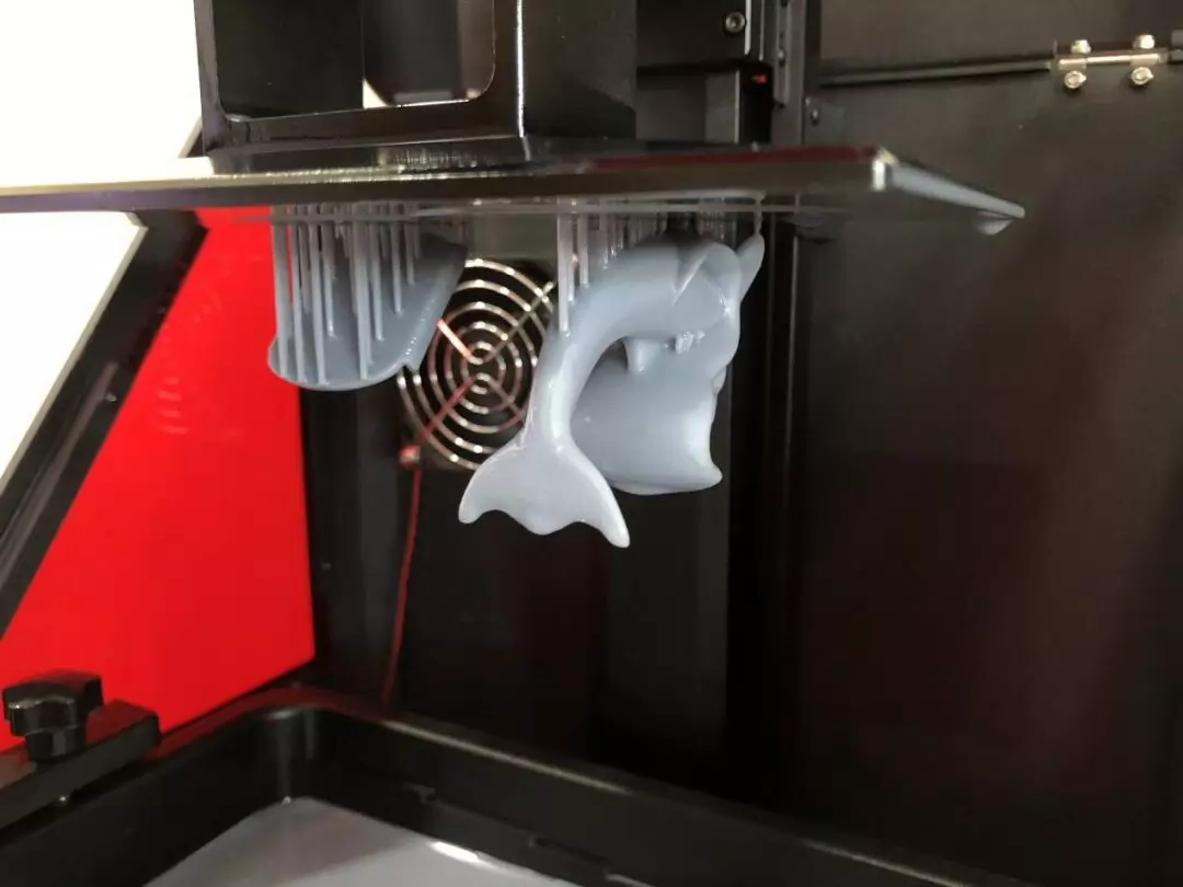 3D打印机实操打印海豚