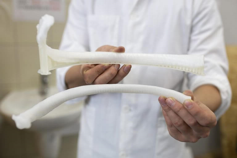 3d打印机打印人体骨骼器官